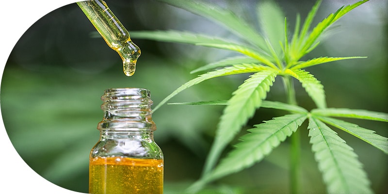 CBD Öl kaufen
