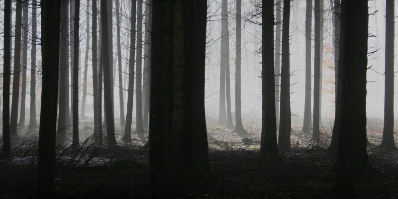 Angststörungen CBD-Öl