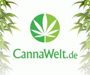 Cannawelt CBD kaufen Gutschein