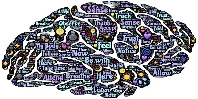CBD Medizin Tourette 