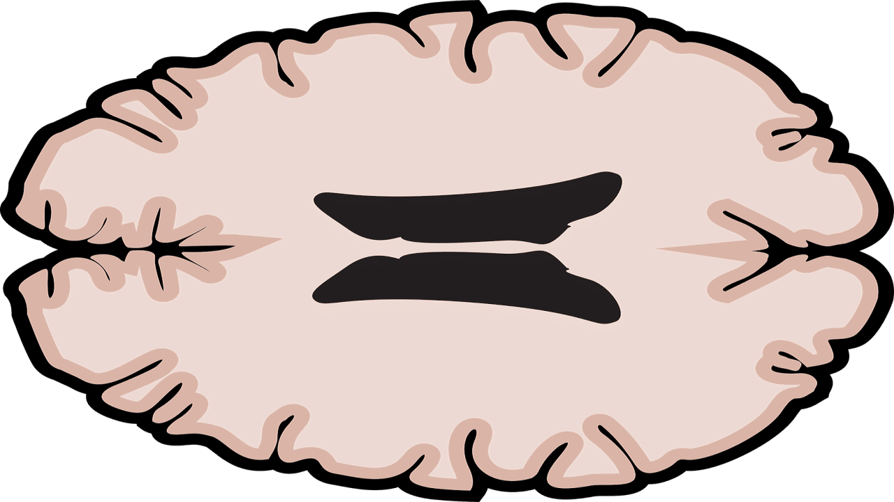 CBD-Öl Multiple Sklerose