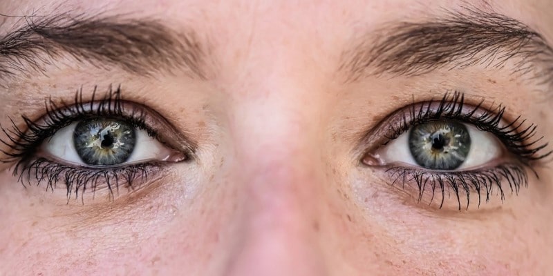 CBD Kosmetik Augenbrauen Wimpern