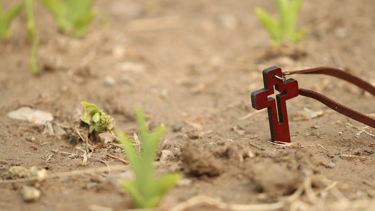 CBD Christen Bibelverse