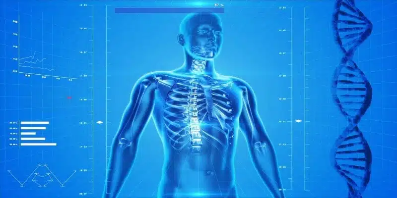 CBD-&Ouml;l Osteoporose 
