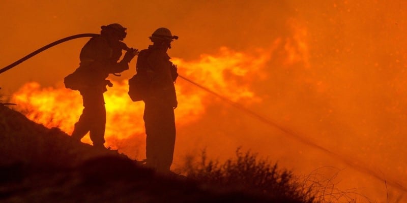 Waldbrände Kalifornien CBD-Hanf