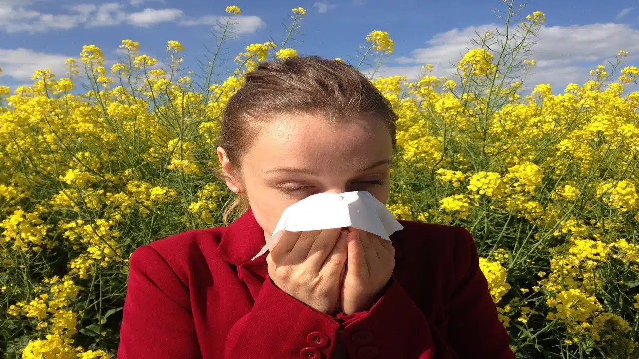CBD allergische Reaktionen