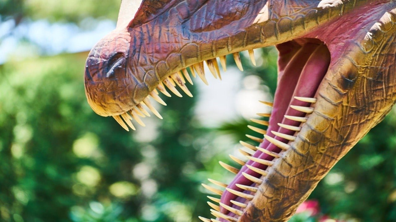 CBD Mundspülung Plaque