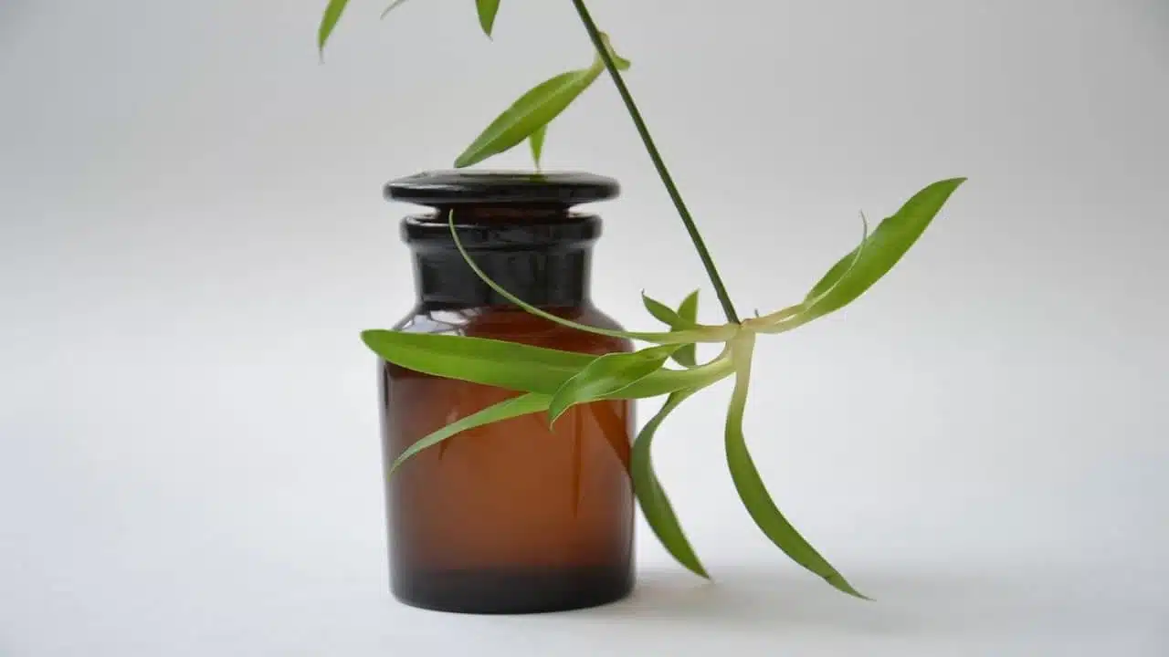 CBD Medizin Liposome