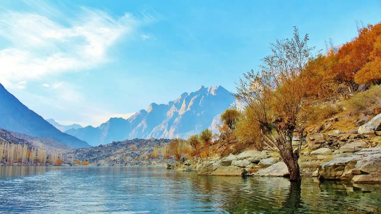 Pakistan CBD Hanf