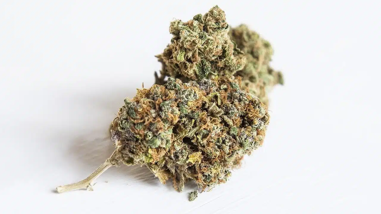 CBD Blüten kaufen