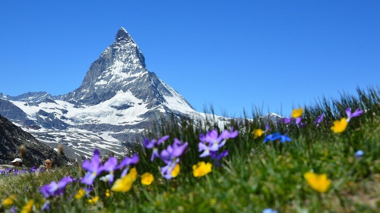 Schweiz Lockdown CBD-Öl