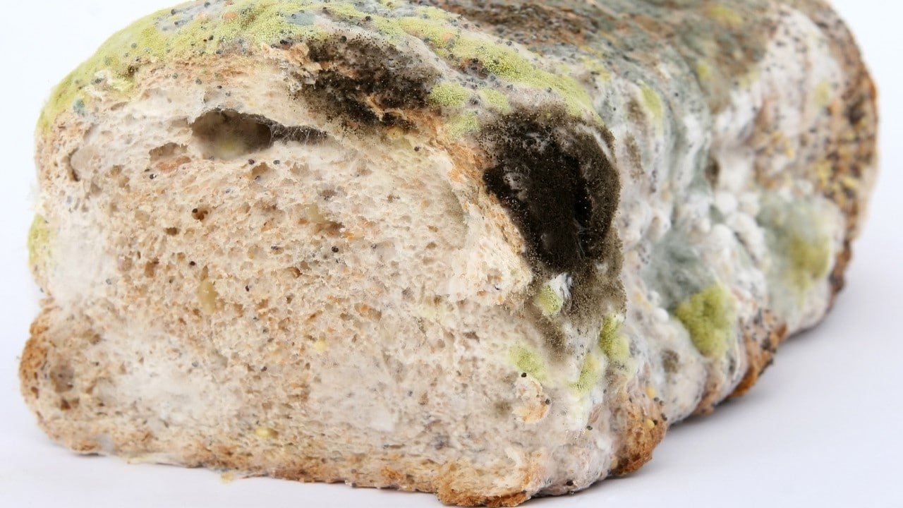 CBD-Öl Antimykotikum