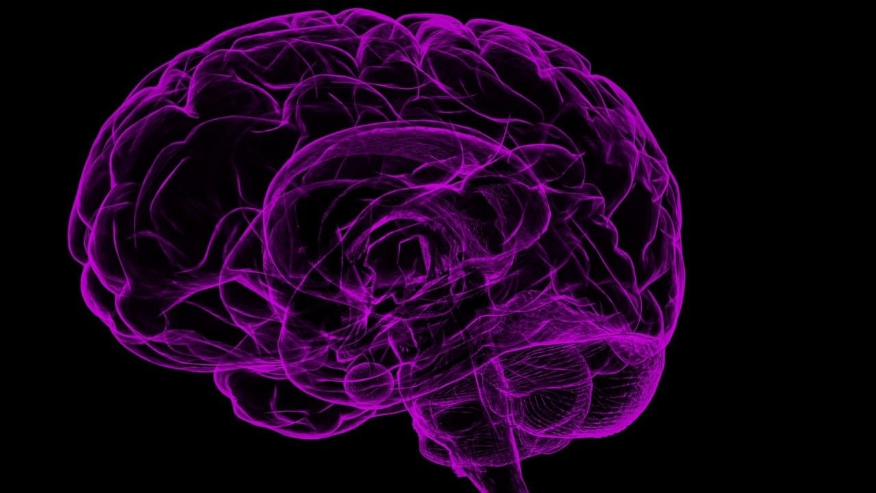 CBD-Kapseln Gehirn Wirksamkeit