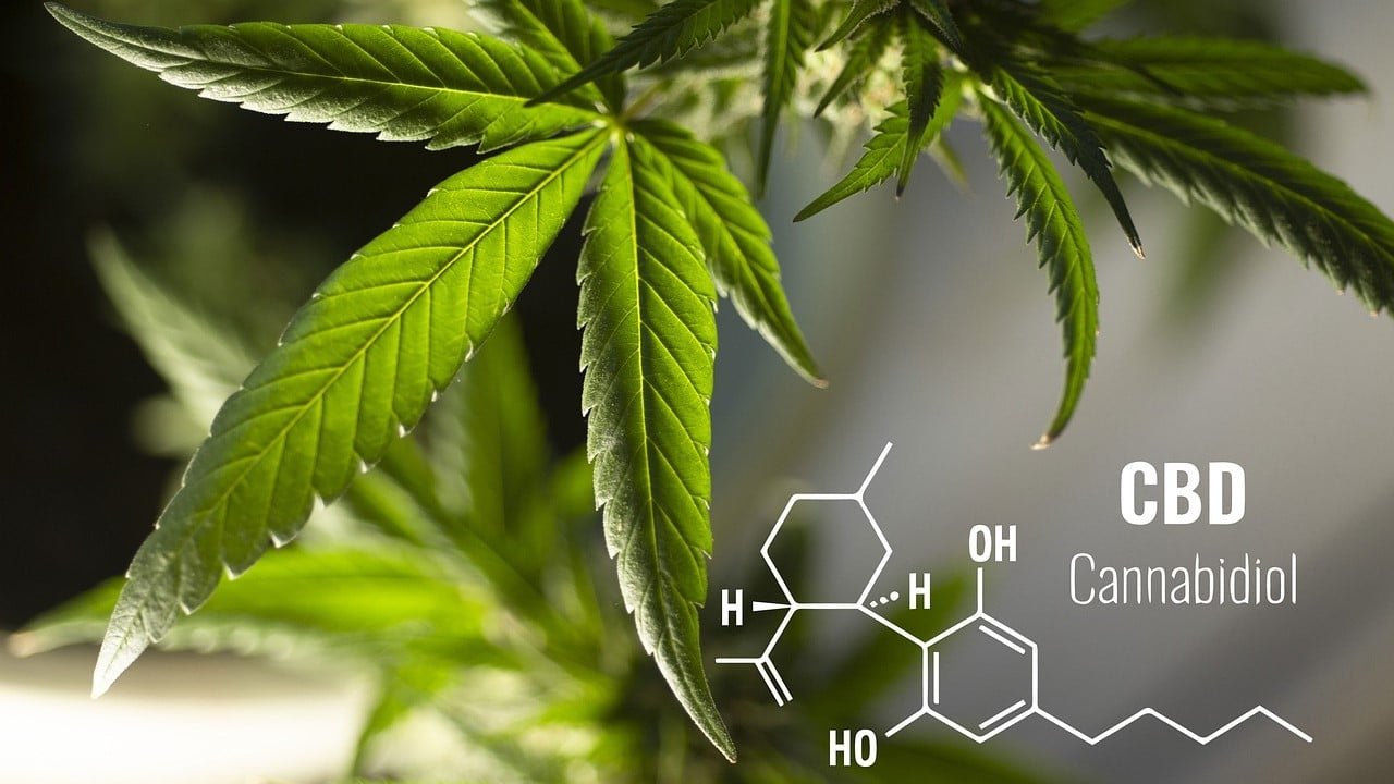 CBD Konsum Anfänger