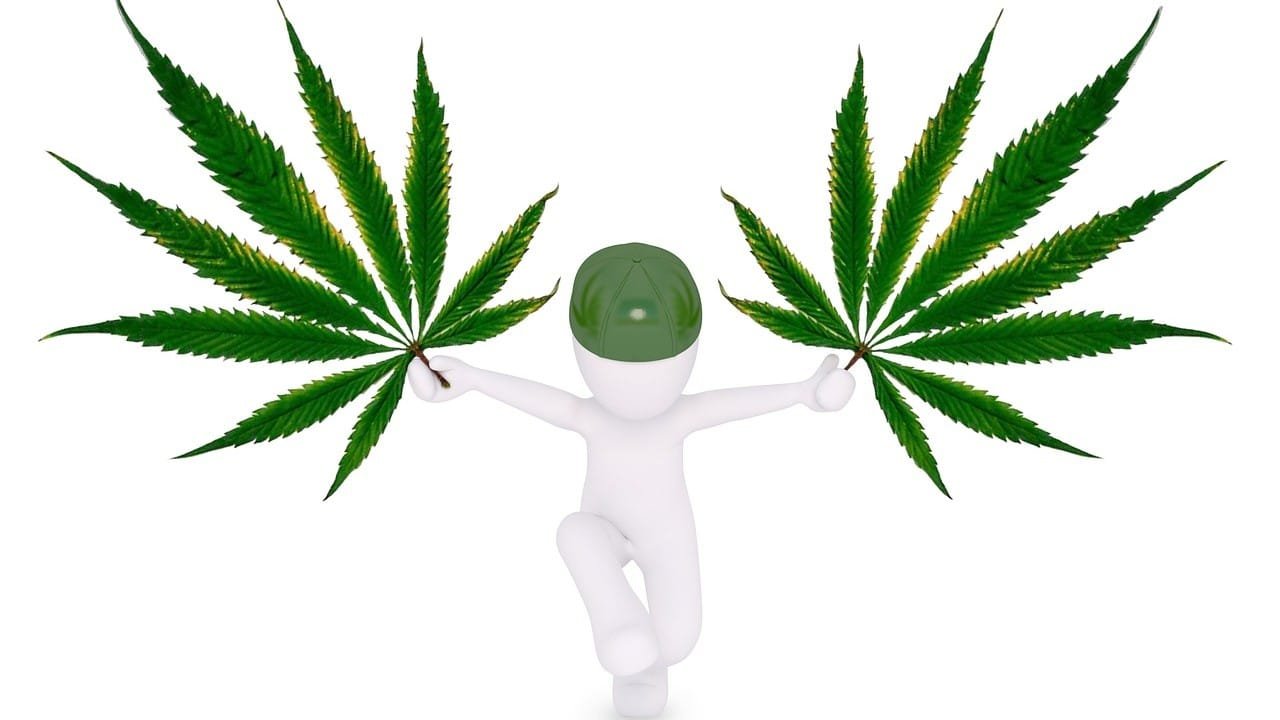 CBD Wirkstoffe absorbieren