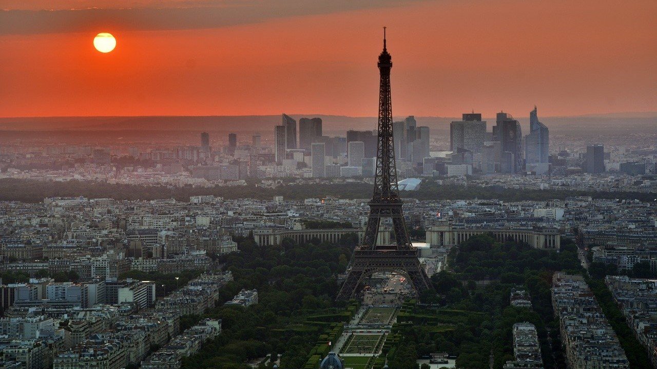 Frankreich CBD Blüten