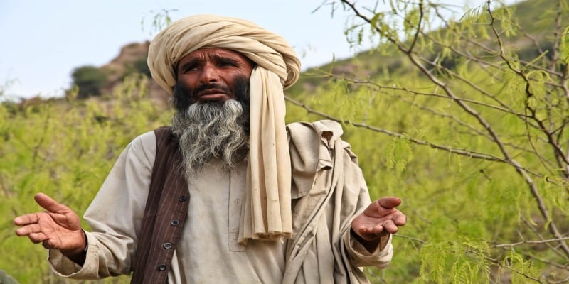 Nutzhanf Cannabinoide Taliban