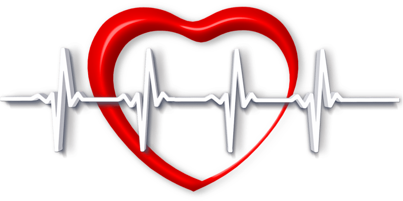 CBD Kardiologie Studie